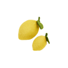 MODERNBEAST Pet Lemon Dog + Cat Toy