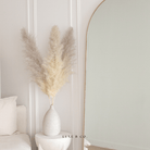 Luxe B Pampas Grass Inc. Luxe B Pampas Grass Inc. - PAMPAS GRASS - Type 1 Natural Per Stem