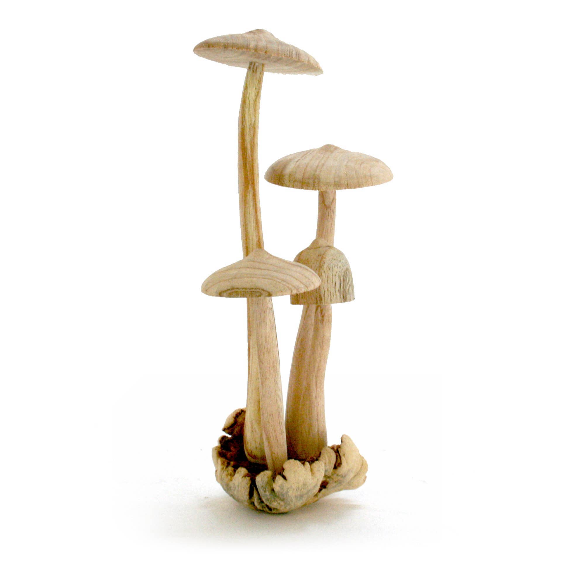 Modern Eastern by Contrast Inc. Modern Eastern by Contrast Inc. - Four (4) Parasite Wood Flat Mushrooms 12"