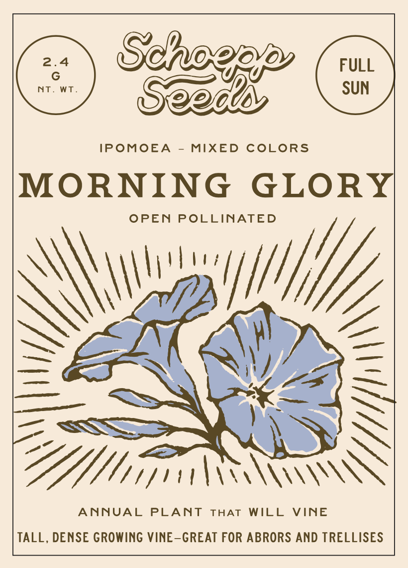 morning glory seed packets Morning Glory Seed Packets – Asher + Rye