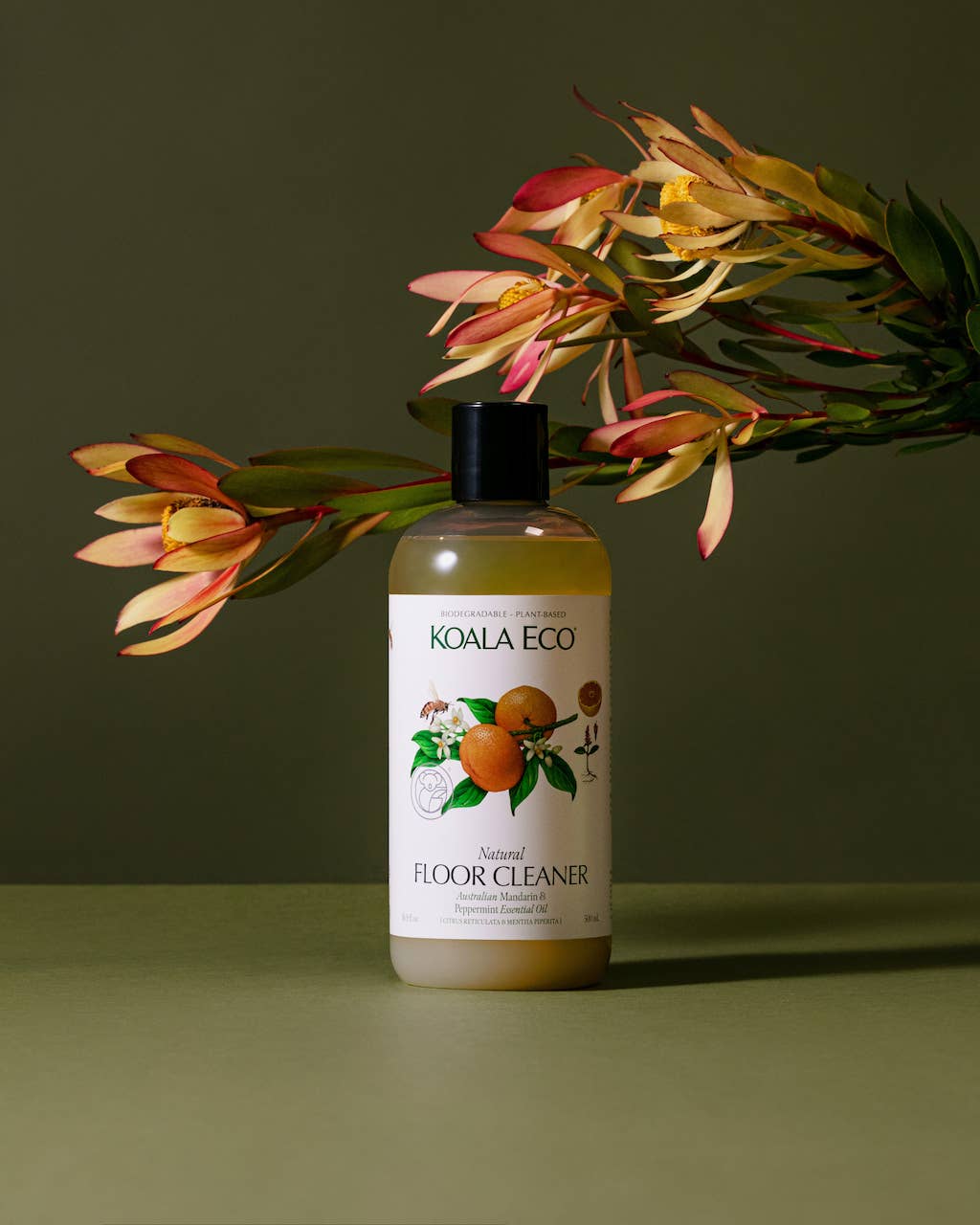 Koala Eco Cleaning Natural Mandarin & Peppermint Floor Cleaner