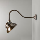 Mullan Lighting Lighting Novo Vintage Swan Neck Sign Light