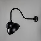 Mullan Lighting Lighting Novo Vintage Swan Neck Sign Light