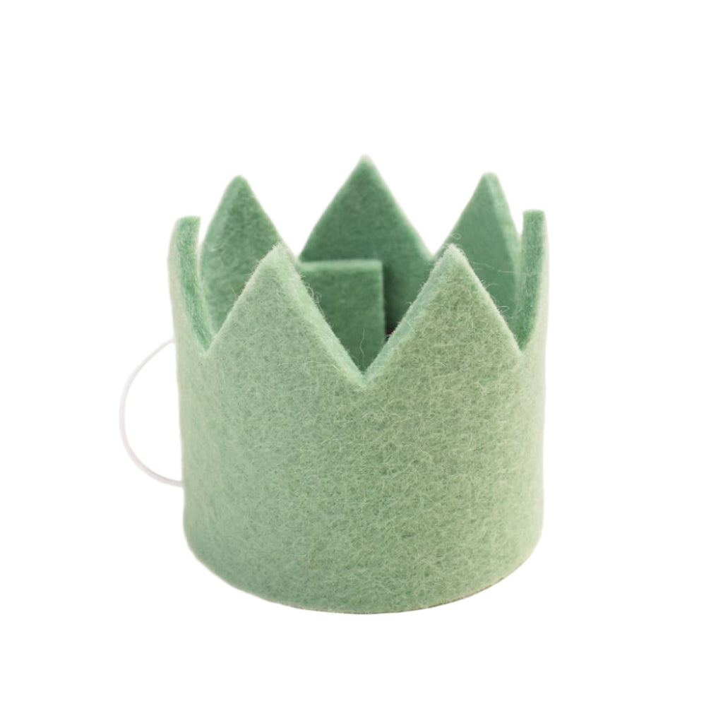 MODERNBEAST Pet Mint Pet Party Crown