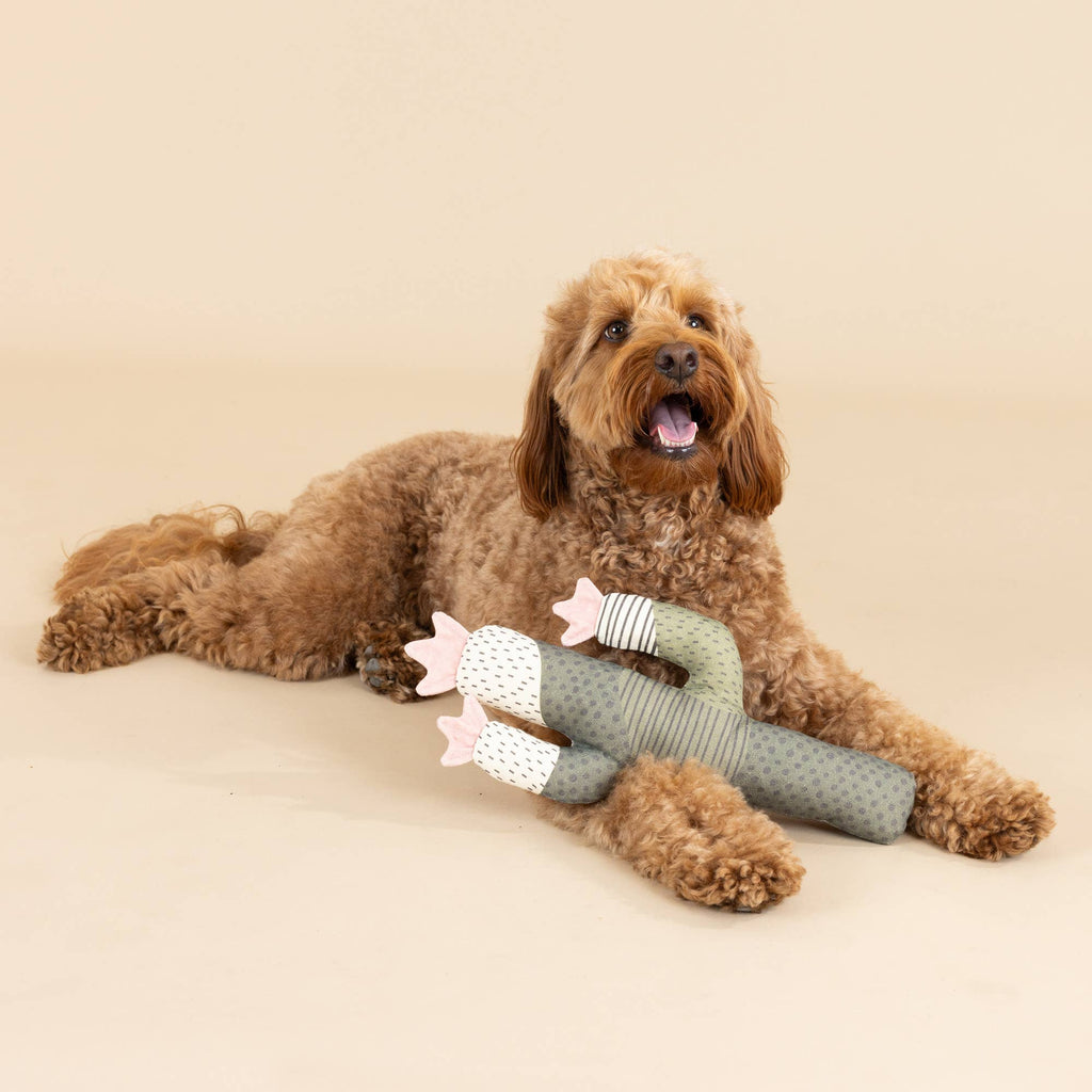 Petshop by Fringe Studio Petshop by Fringe Studio - CANVAS SQUEAKER DOG TOY I CAN BE A BIT PRICKLY