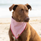 The Foggy Dog SHOP Red Stripe Dog Bandana