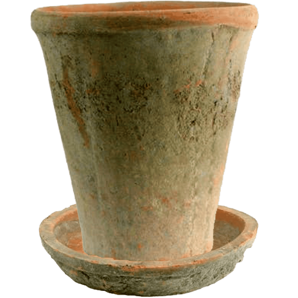 HomArt Grande Rose Pot/Saucer Rustic Terracotta