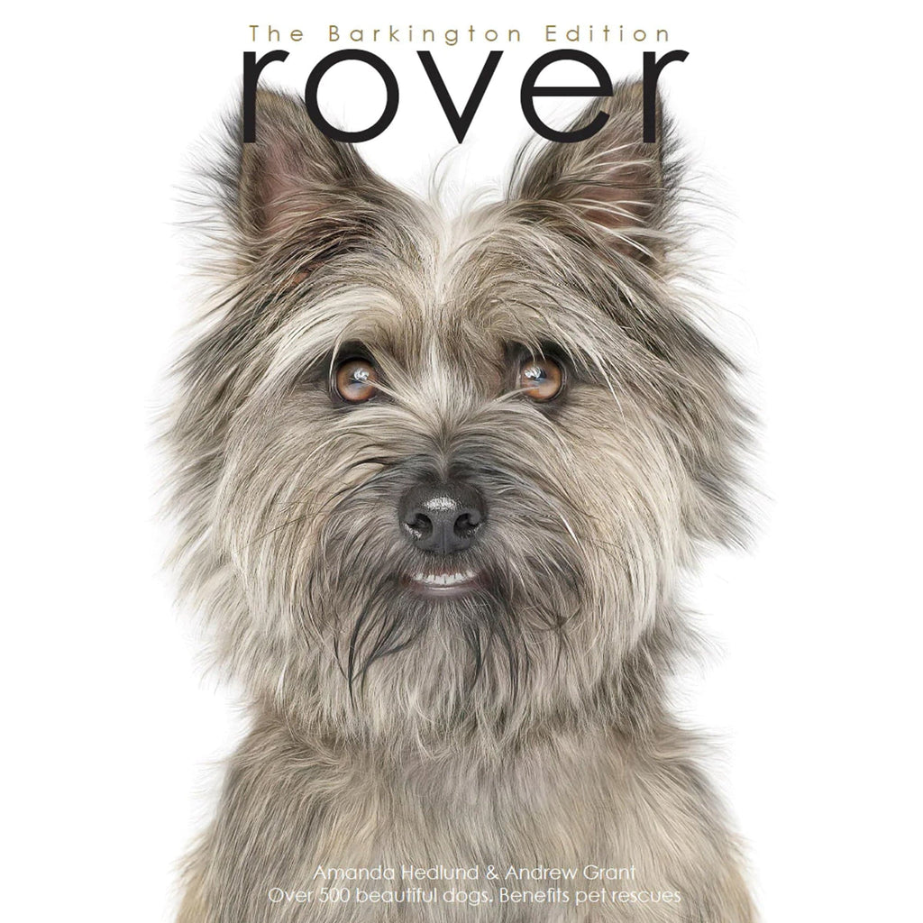 Rover Book "Jammy" the Grey Cairn Terrier Rover Barkington Edition