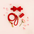 The Foggy Dog SHOP Ruby Marine Rope Dog Leash