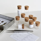 June & December SHOP Seed Collecting Kit