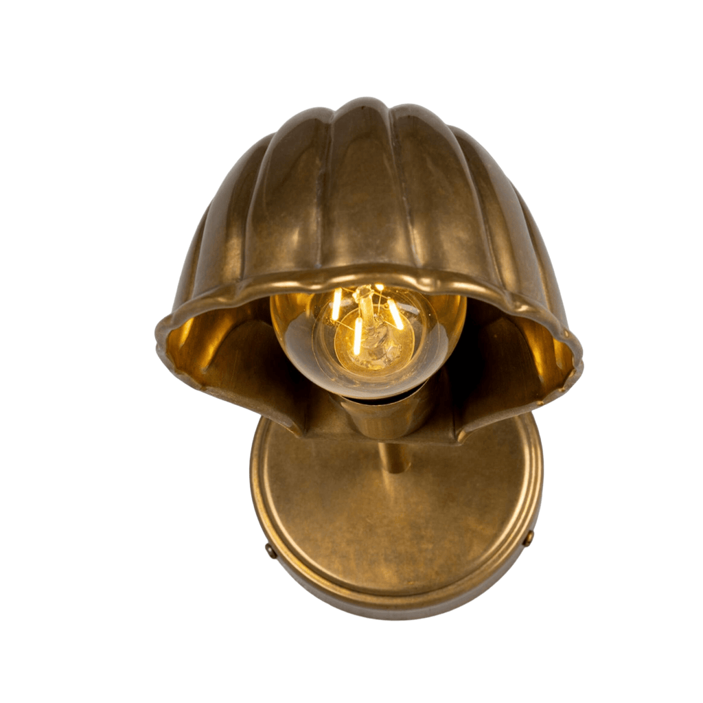 Mullan Lighting Lighting Shell Adjustable Brass Wall Sconce