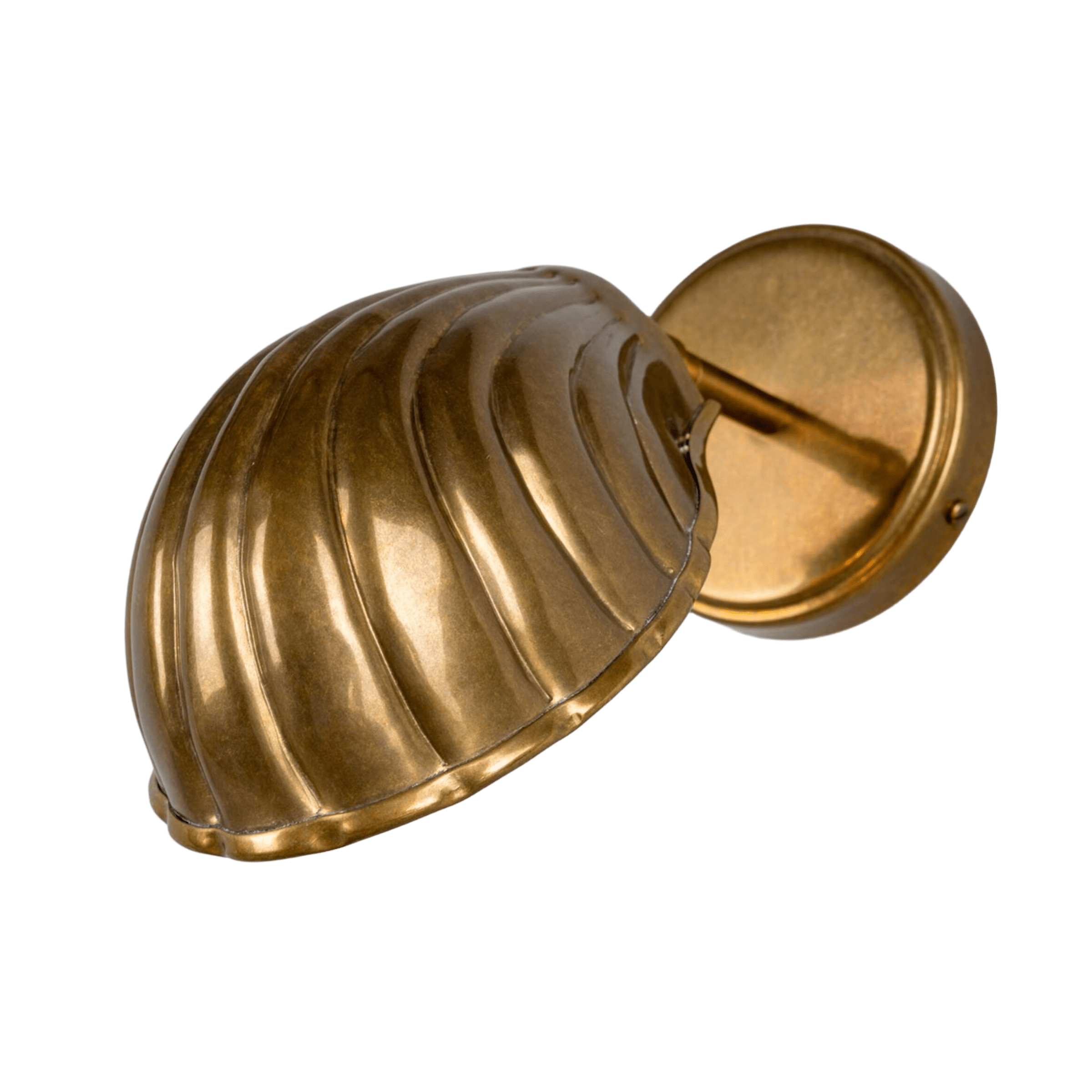 Mullan Lighting Lighting Shell Adjustable Brass Wall Sconce