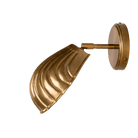 Mullan Lighting Lighting Shell Adjustable Brass Wall Sconce