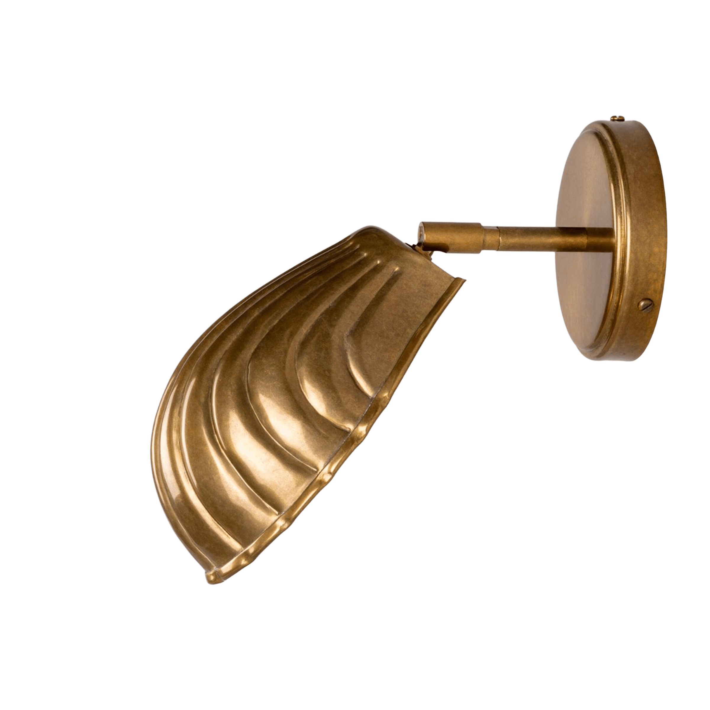 Mullan Lighting Lighting Shell Adjustable Brass Wall Sconce
