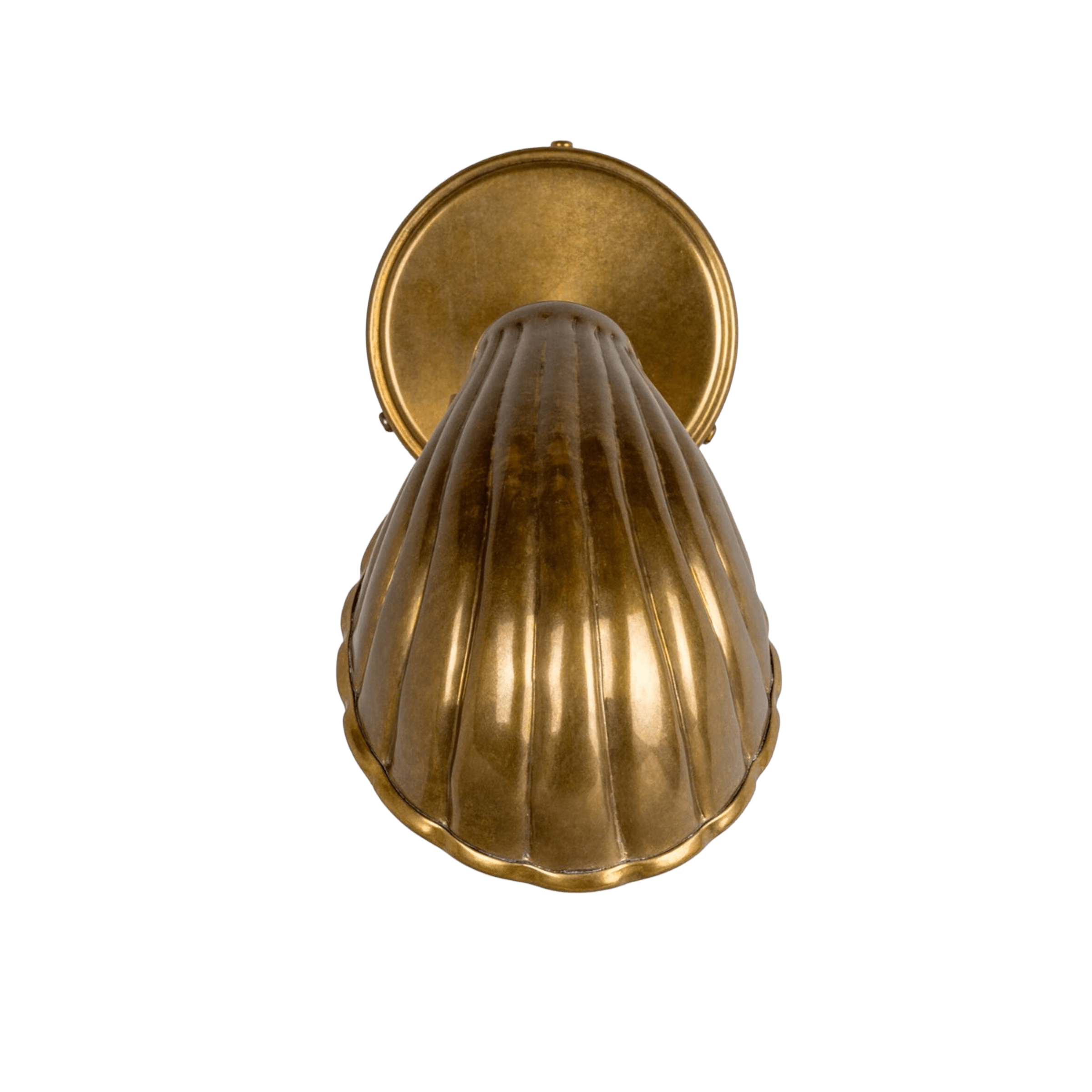 Mullan Lighting Lighting Shell Adjustable Brass Wall Sconce