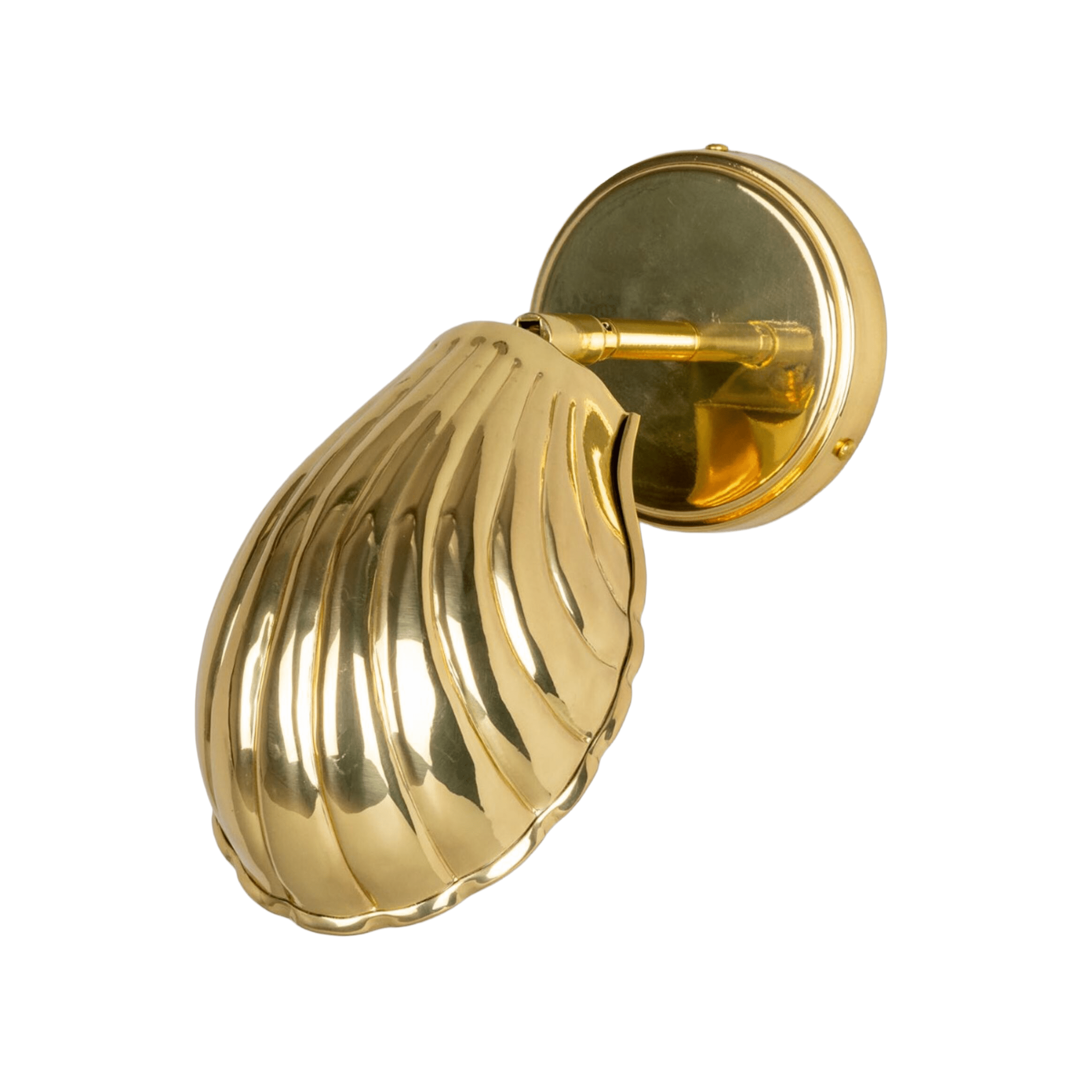 Mullan Lighting Lighting Polished Brass Shell Adjustable Brass Wall Sconce