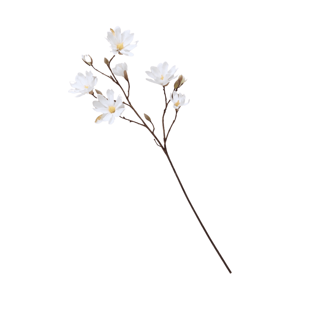 Bloomist Star Magnolia Stem