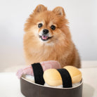 Lambwolf Collective SHOP Sushi Squeaky Dog Toy