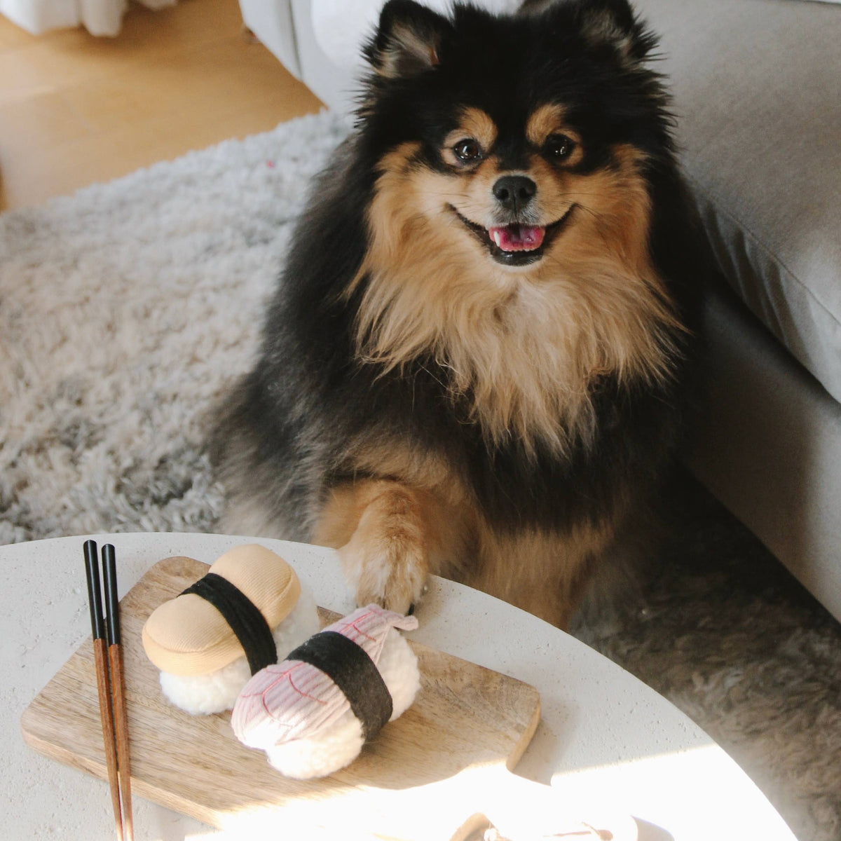 Lambwolf Collective SHOP Sushi Squeaky Dog Toy