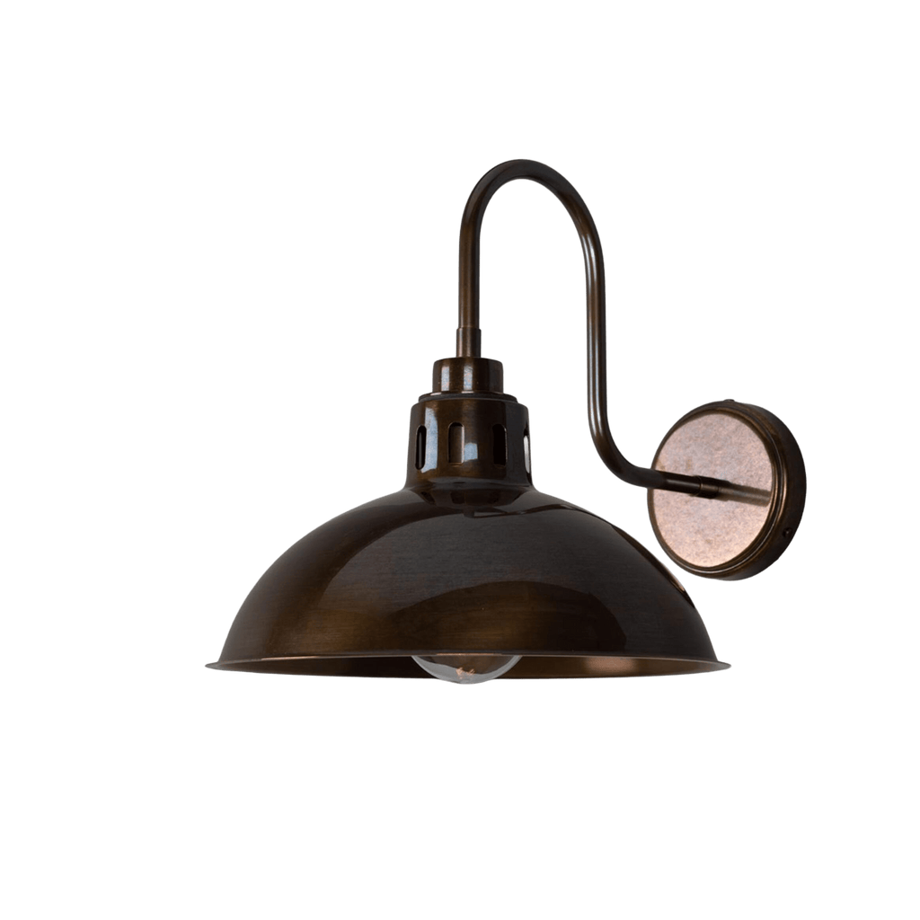 Mullan Lighting Lighting Antique Brass / Clear Talise Industrial Outdoor Swan Neck Wall Sconce