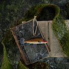 Ragon House SHOP Tench Fish Ornament
