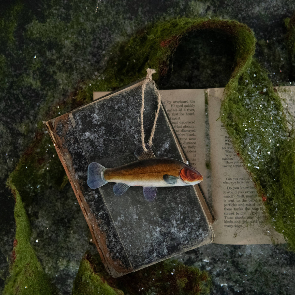 Ragon House SHOP Tench Fish Ornament