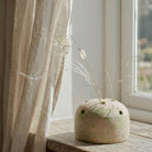 Bloomist SHOP Terra Cotta Frog Vase, Greenwash