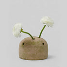 Bloomist SHOP Terra Cotta Frog Vase, Greenwash