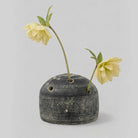 Bloomist SHOP Terra Cotta Frog Vase, Grey Patina