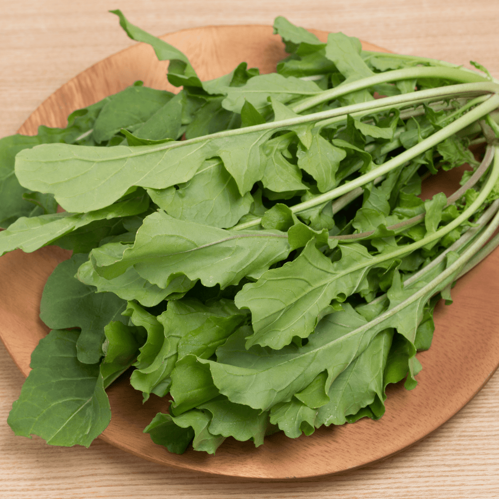 The Elevated Seed Co. The Elevated Seed Co. - Arugula Garden Seeds