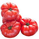 Schoepp Seeds Tomato, Beefsteak Seed Packets