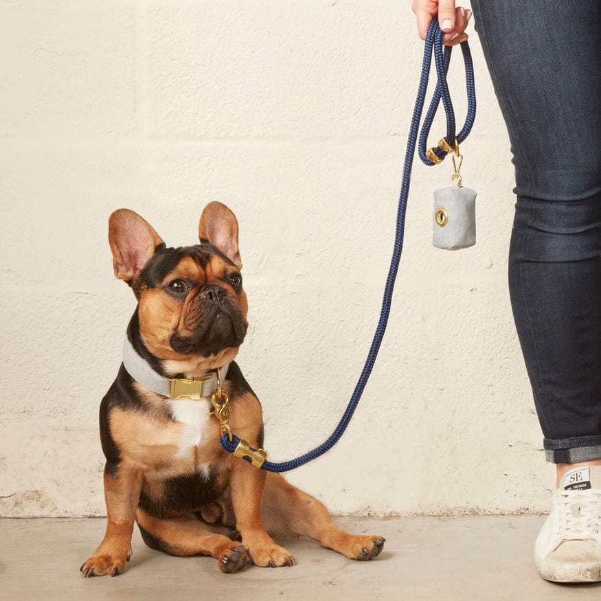 The Foggy Dog Pet Upcycled Denim Sustainable Dog Collar