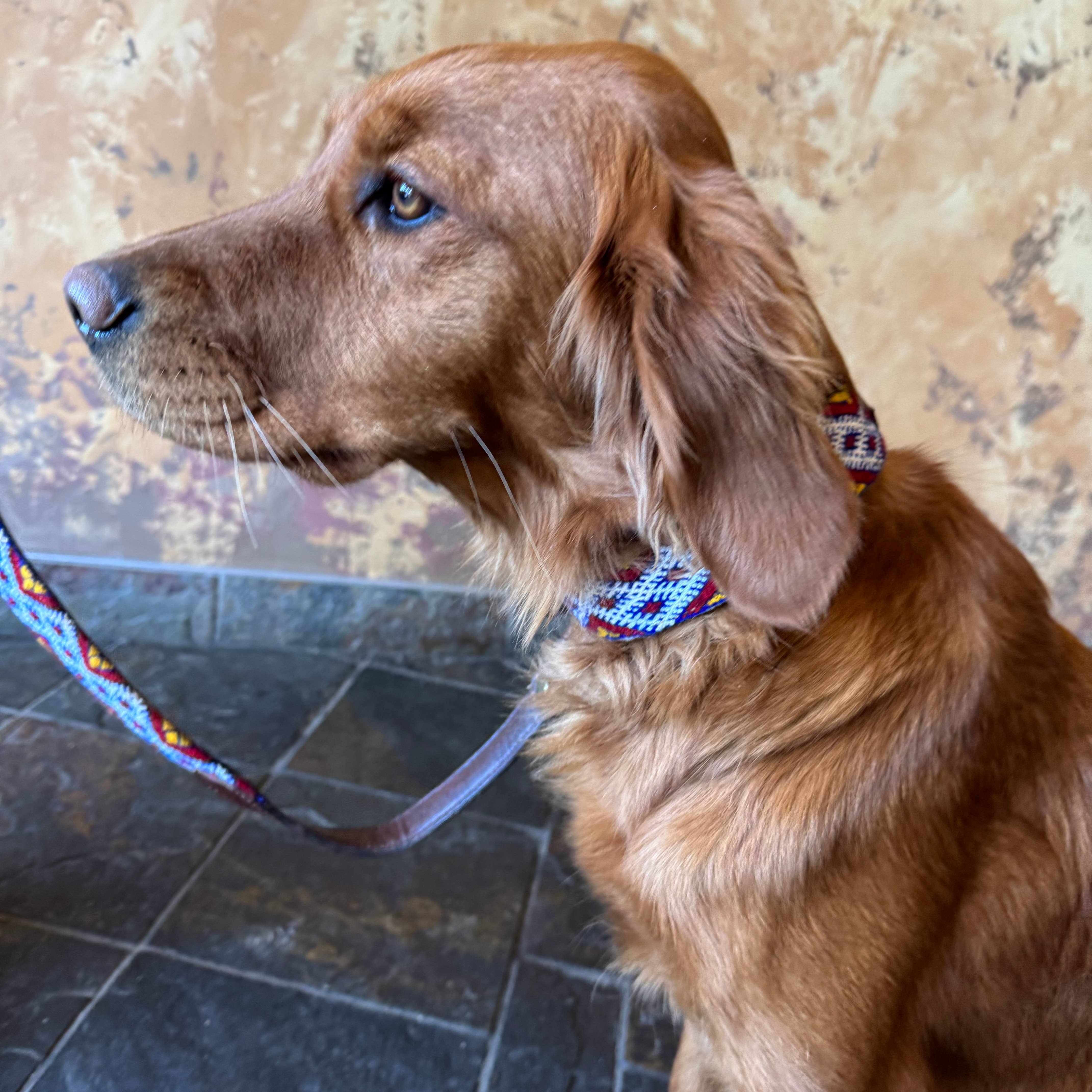 Verve Culture Pet Vintage Kilim & Leather Dog Collar and Leash Set