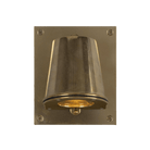 Mullan Lighting Lighting Wade Outdoor Brass Wall Spotlight with Back Plate