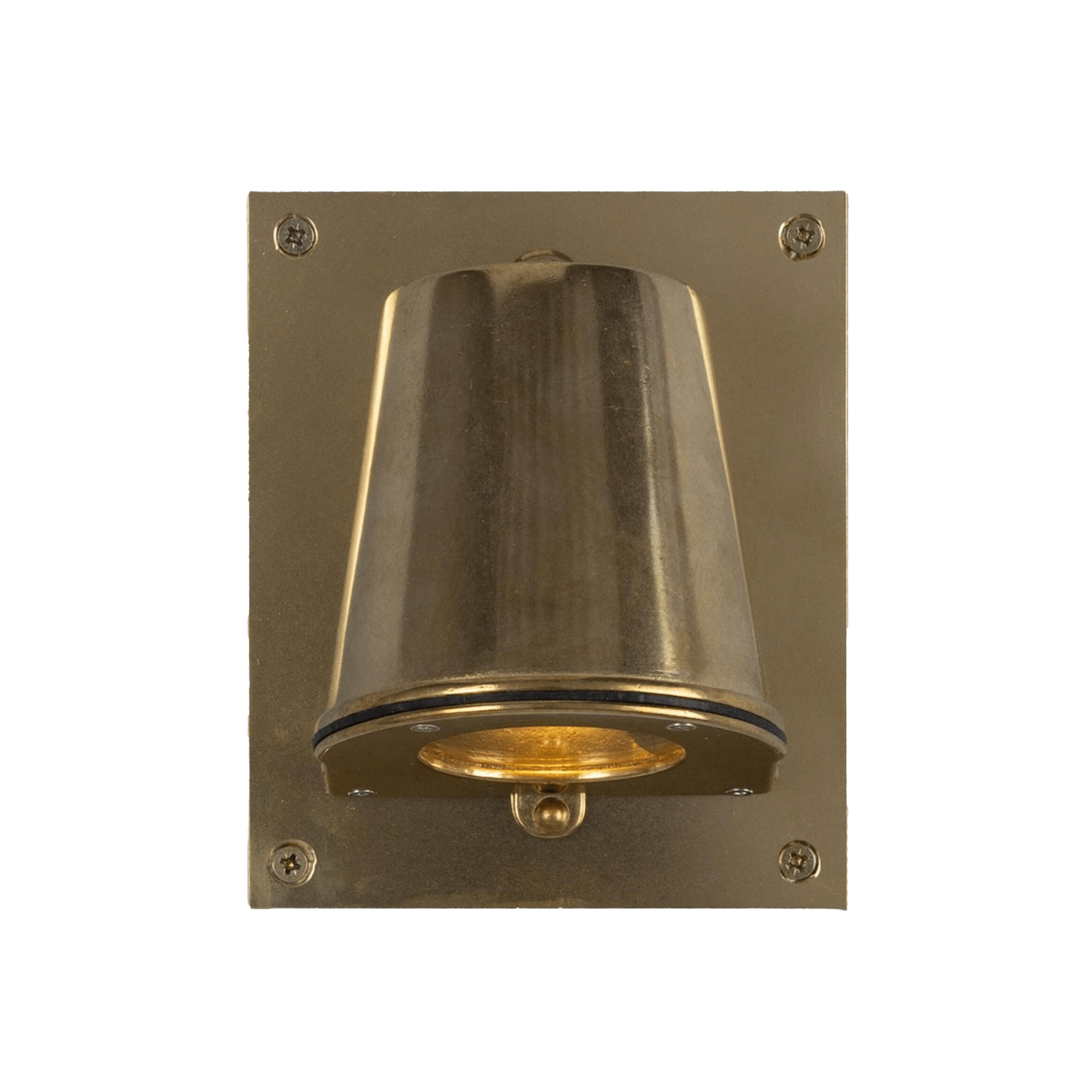 Mullan Lighting Lighting Wade Outdoor Brass Wall Spotlight with Back Plate