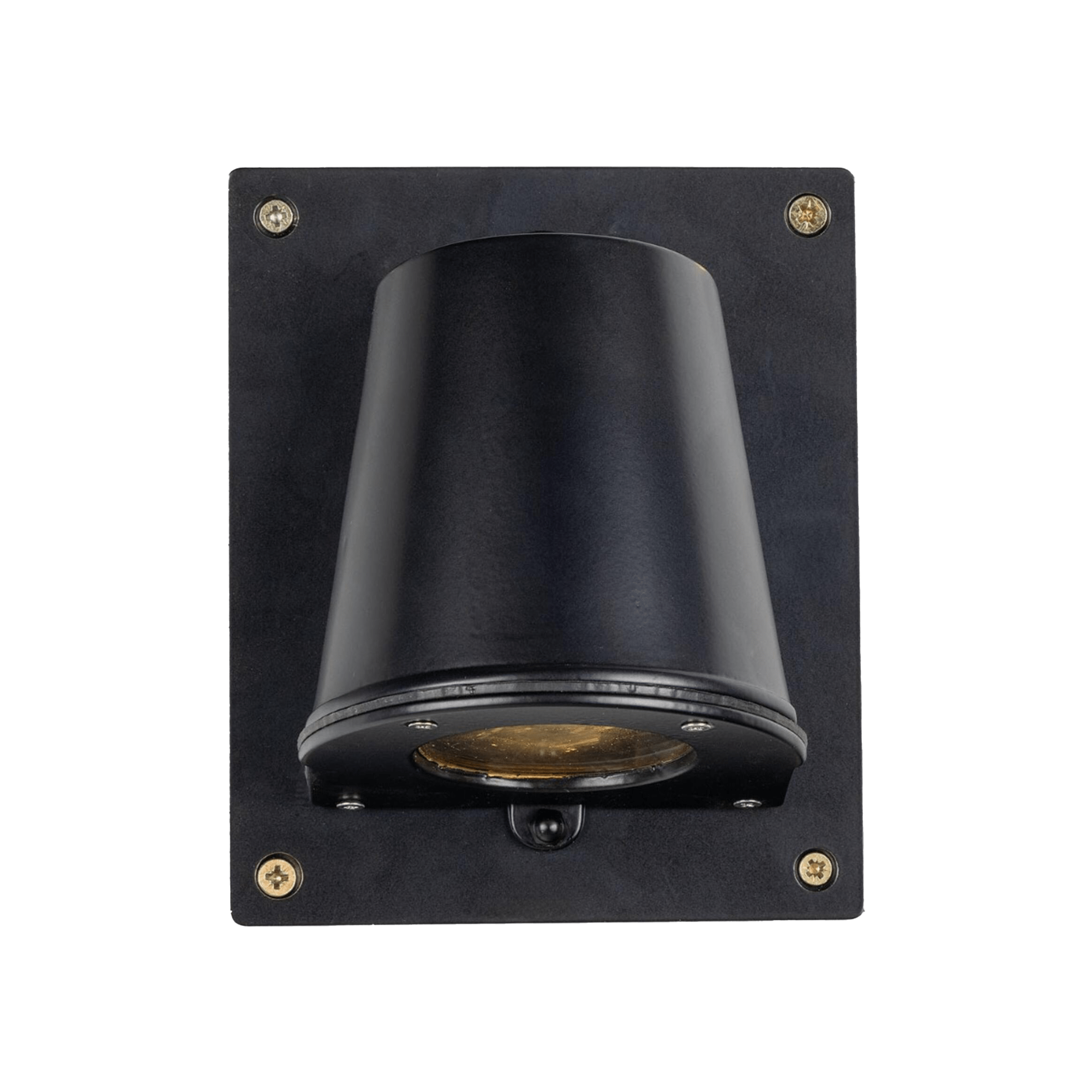 Mullan Lighting Lighting Wade Outdoor Brass Wall Spotlight with Back Plate