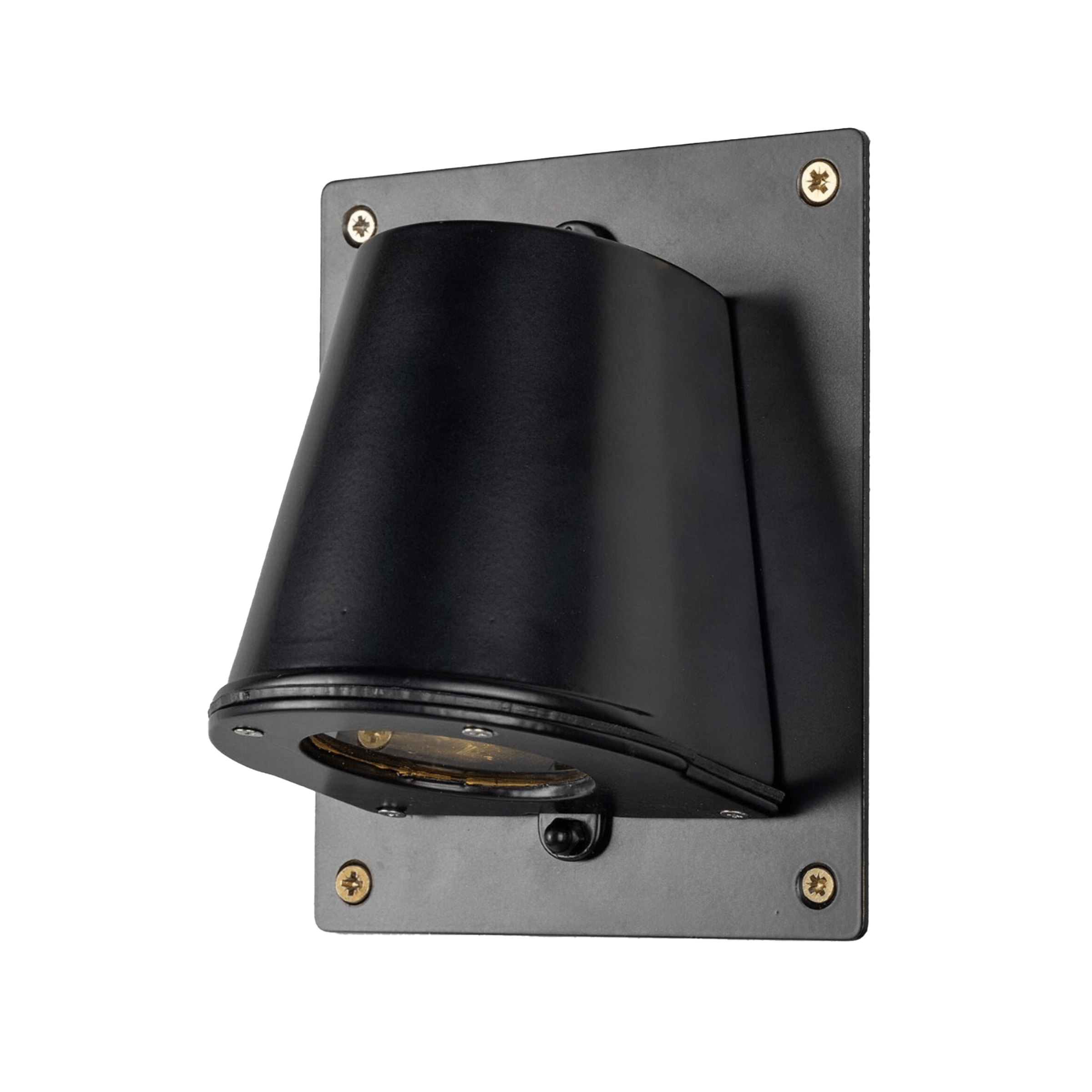 Mullan Lighting Lighting Powder-coated Matte Black Wade Outdoor Brass Wall Spotlight with Back Plate