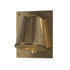 Mullan Lighting Lighting Raw Brass Wade Outdoor Brass Wall Spotlight with Back Plate