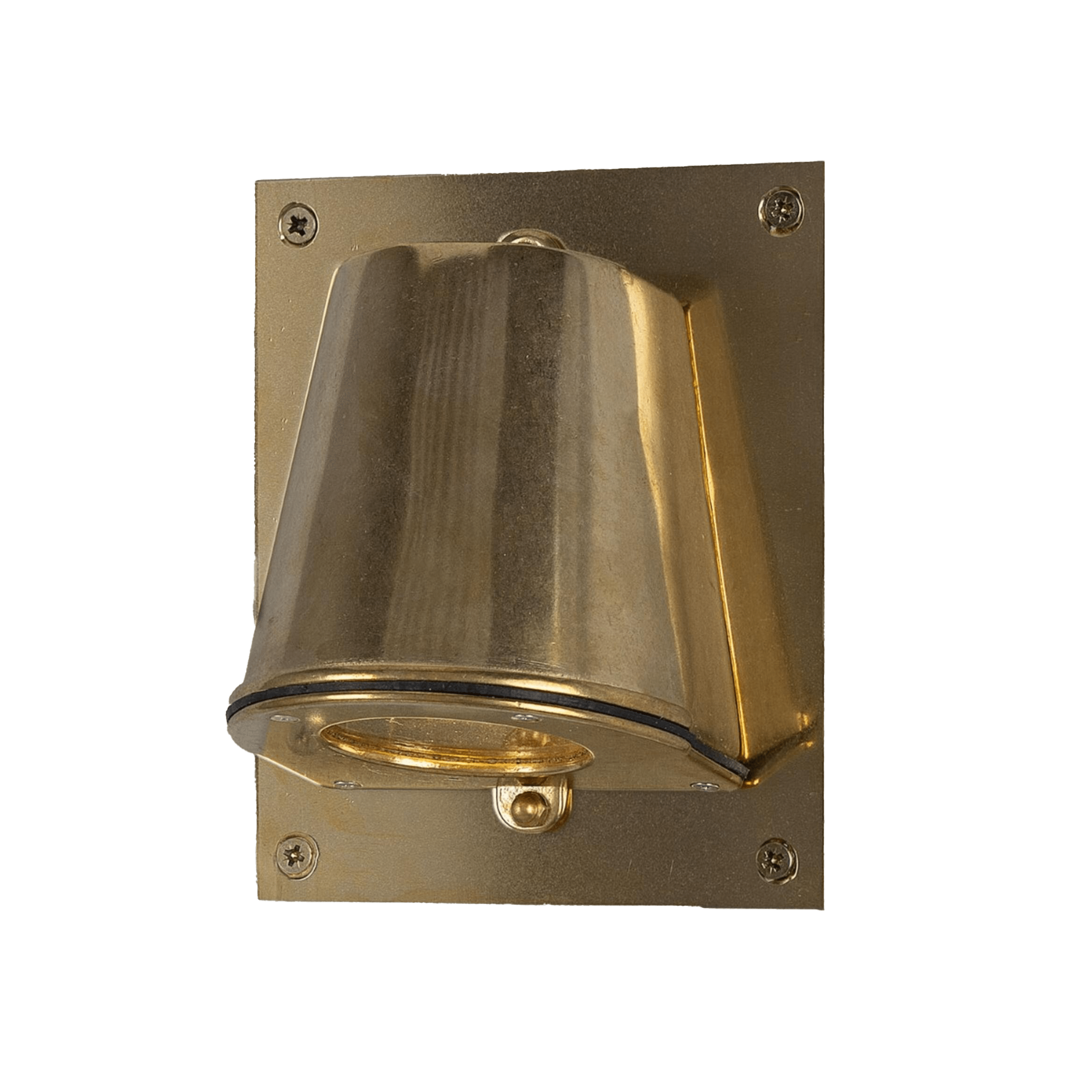 Mullan Lighting Lighting Raw Brass Wade Outdoor Brass Wall Spotlight with Back Plate