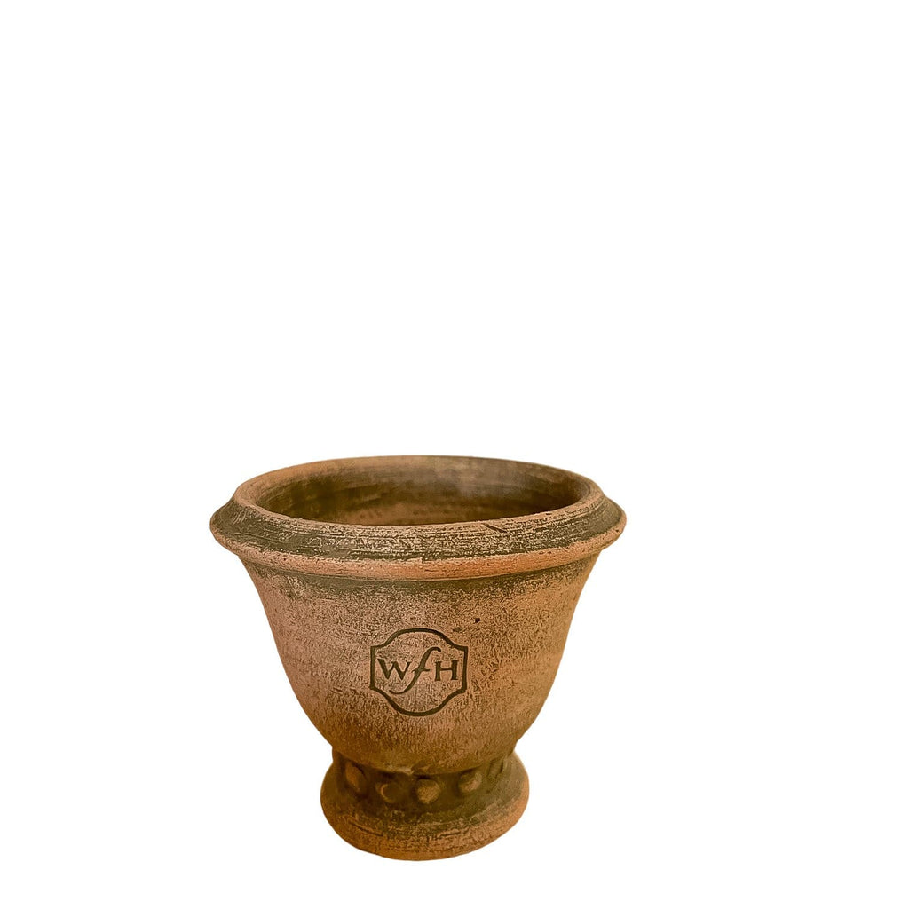 Napa Home & Garden Pottery F Wakefield Mini Pots, Brown