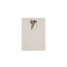 folio press & paperie SHOP Western Saddle "Tails" Boxed Notecards