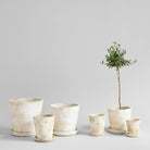 Bloomist SHOP White Patina Planters