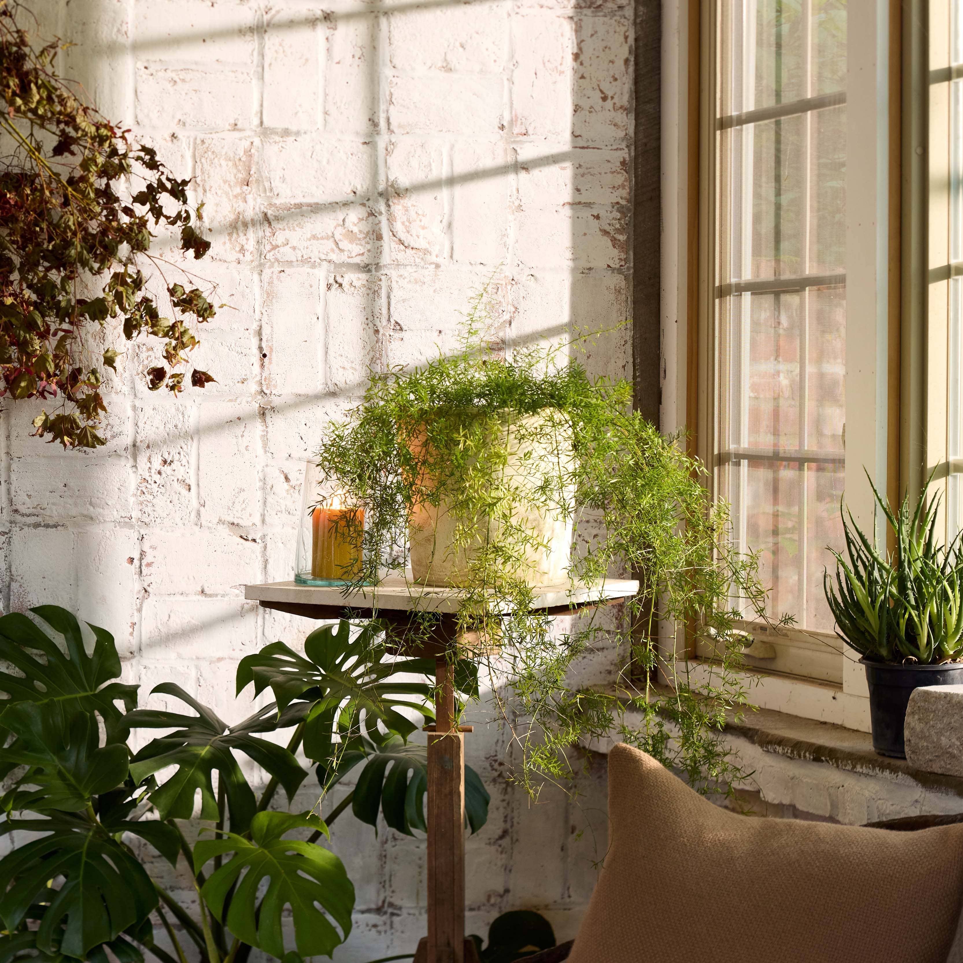 Bloomist SHOP White Patina Planters