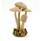 Modern Eastern by Contrast Inc. Decor Medium Wood Mushroom Sculpture, Round Top