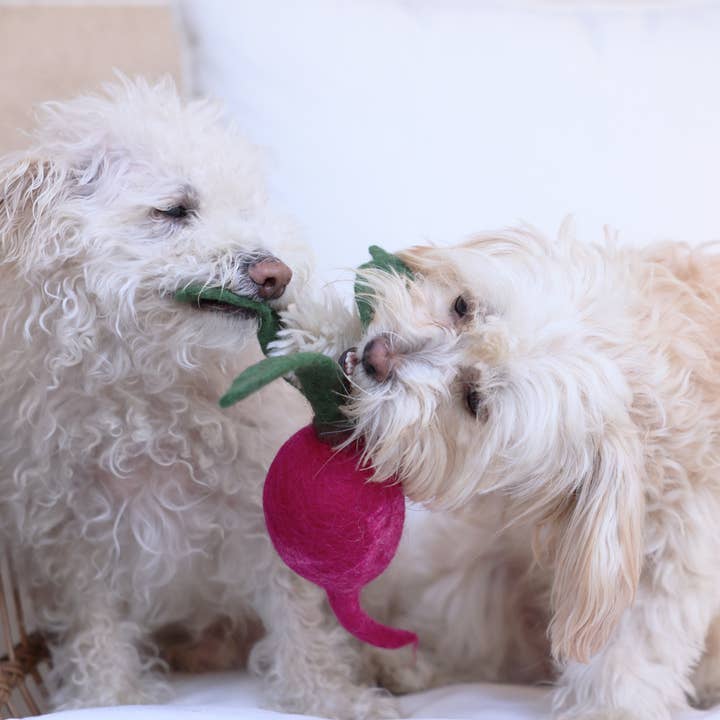 MODERNBEAST Pet Wool Turnip Dog Toy
