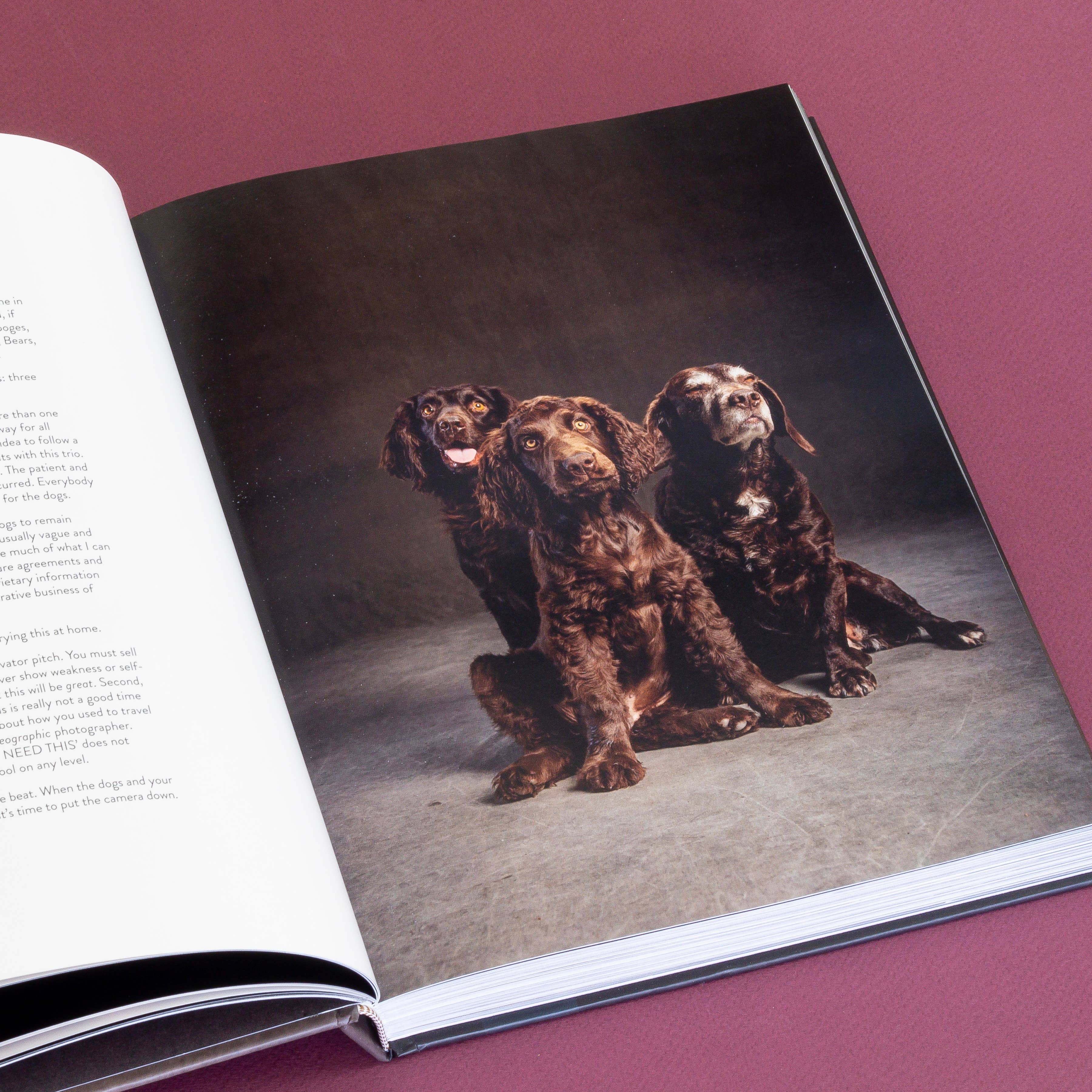 Chronicle Books Book Year of the Dogs