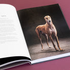 Chronicle Books Book Year of the Dogs