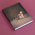 Chronicle Books Book Year of the Dogs