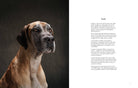 Chronicle Books Book Year of the Dogs