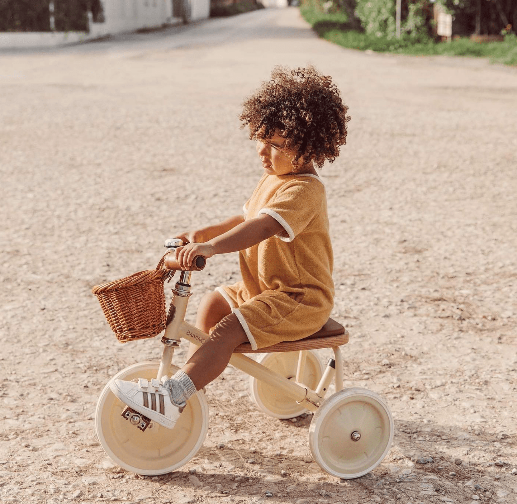 Childs clearance wooden trike